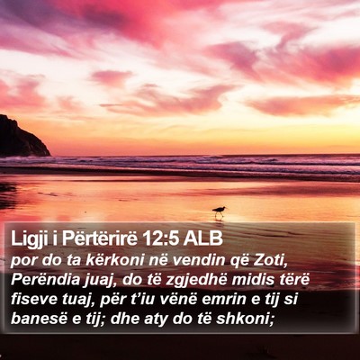 Ligji i Përtërirë 12:5 ALB Bible Verse Image
