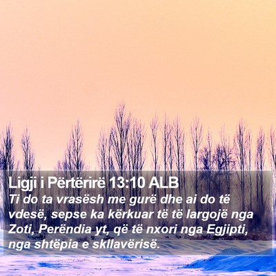 Ligji i Përtërirë 13:10 ALB Bible Verse Image