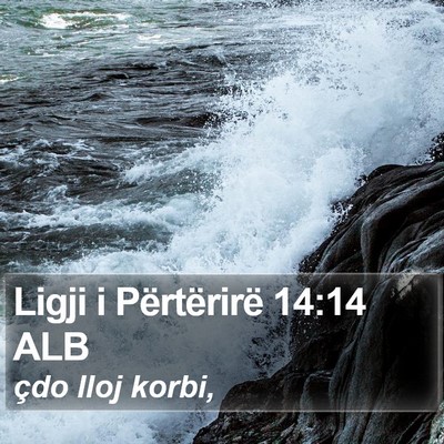 Ligji i Përtërirë 14:14 ALB Bible Verse Image