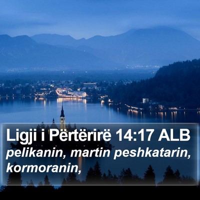 Ligji i Përtërirë 14:17 ALB Bible Verse Image