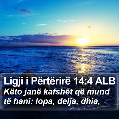 Ligji i Përtërirë 14:4 ALB Bible Verse Image