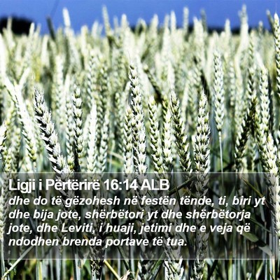 Ligji i Përtërirë 16:14 ALB Bible Verse Image