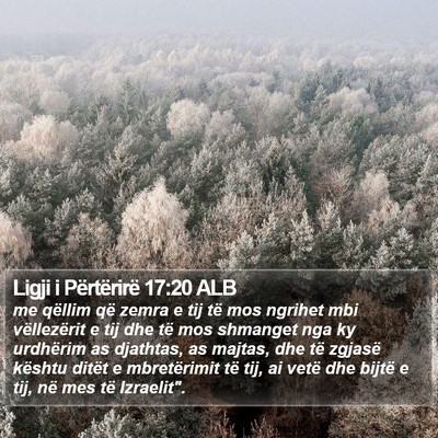 Ligji i Përtërirë 17:20 ALB Bible Verse Image