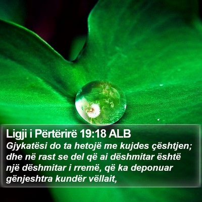Ligji i Përtërirë 19:18 ALB Bible Verse Image