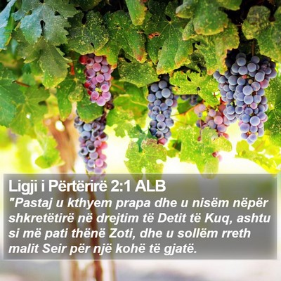 Ligji i Përtërirë 2:1 ALB Bible Verse Image
