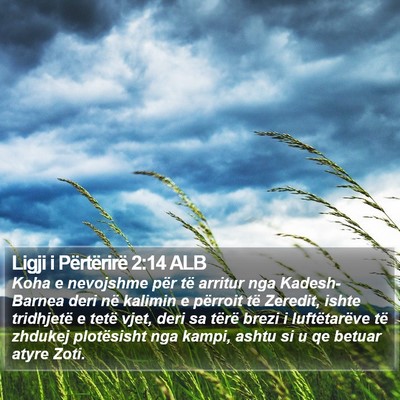 Ligji i Përtërirë 2:14 ALB Bible Verse Image