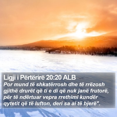 Ligji i Përtërirë 20:20 ALB Bible Verse Image