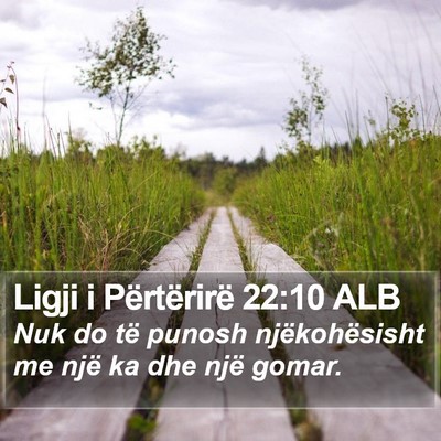 Ligji i Përtërirë 22:10 ALB Bible Verse Image