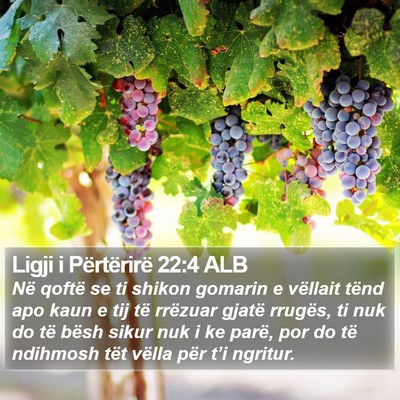 Ligji i Përtërirë 22:4 ALB Bible Verse Image