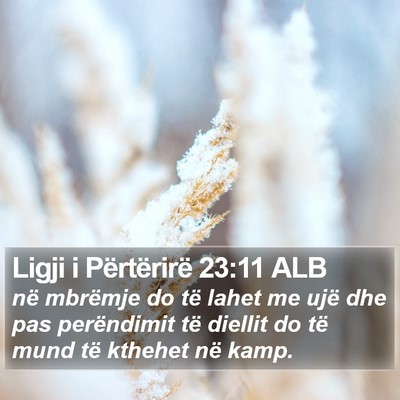 Ligji i Përtërirë 23:11 ALB Bible Verse Image