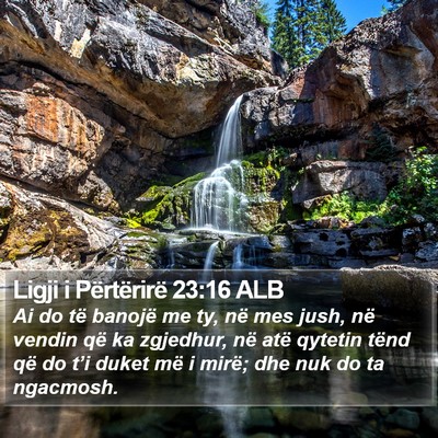 Ligji i Përtërirë 23:16 ALB Bible Verse Image
