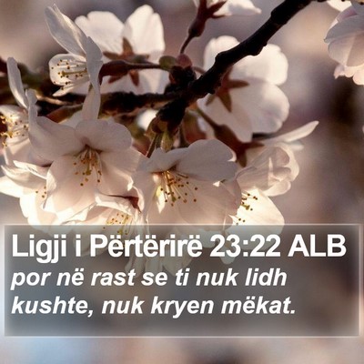 Ligji i Përtërirë 23:22 ALB Bible Verse Image