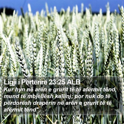 Ligji i Përtërirë 23:25 ALB Bible Verse Image