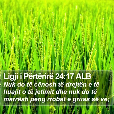 Ligji i Përtërirë 24:17 ALB Bible Verse Image