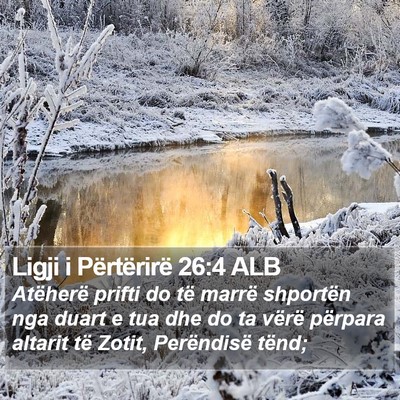 Ligji i Përtërirë 26:4 ALB Bible Verse Image