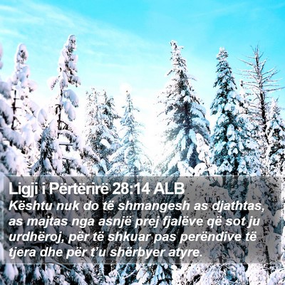 Ligji i Përtërirë 28:14 ALB Bible Verse Image