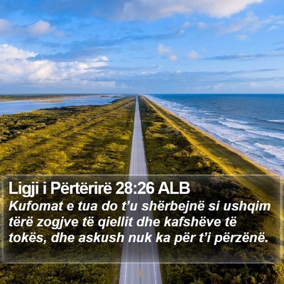 Ligji i Përtërirë 28:26 ALB Bible Verse Image