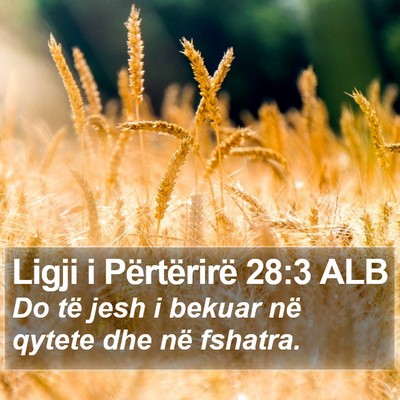 Ligji i Përtërirë 28:3 ALB Bible Verse Image