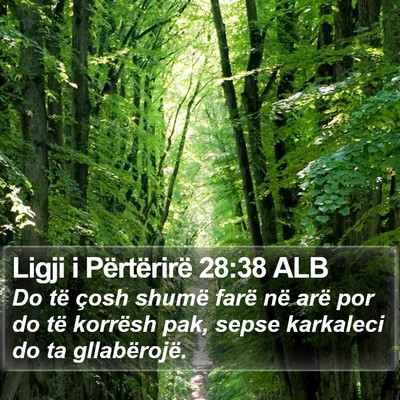 Ligji i Përtërirë 28:38 ALB Bible Verse Image