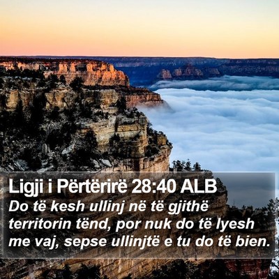 Ligji i Përtërirë 28:40 ALB Bible Verse Image