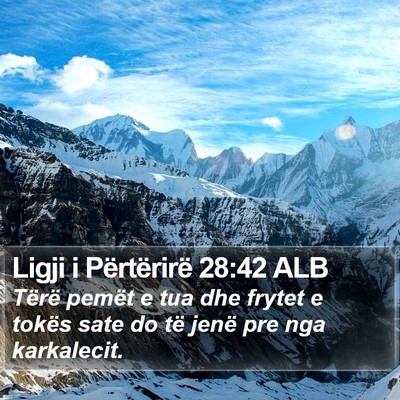 Ligji i Përtërirë 28:42 ALB Bible Verse Image