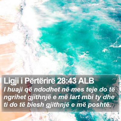 Ligji i Përtërirë 28:43 ALB Bible Verse Image