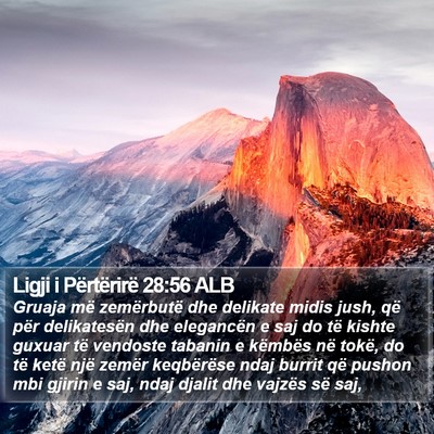 Ligji i Përtërirë 28:56 ALB Bible Verse Image