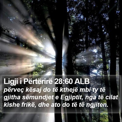 Ligji i Përtërirë 28:60 ALB Bible Verse Image