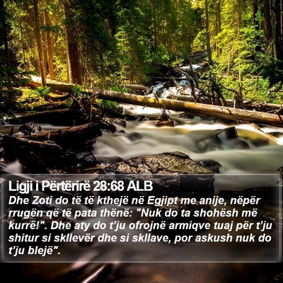Ligji i Përtërirë 28:68 ALB Bible Verse Image