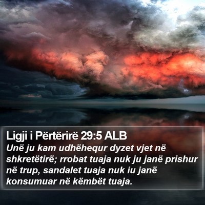 Ligji i Përtërirë 29:5 ALB Bible Verse Image