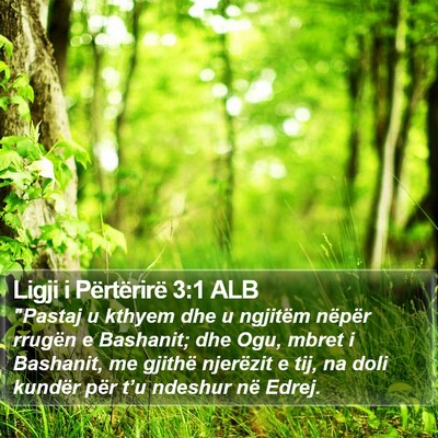 Ligji i Përtërirë 3:1 ALB Bible Verse Image