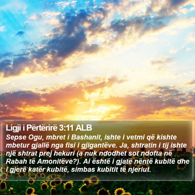 Ligji i Përtërirë 3:11 ALB Bible Verse Image