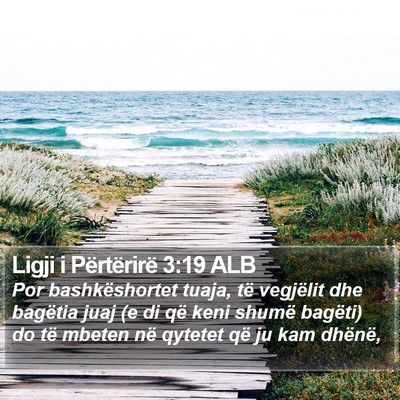 Ligji i Përtërirë 3:19 ALB Bible Verse Image