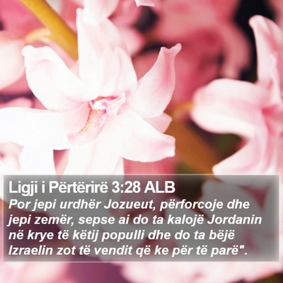 Ligji i Përtërirë 3:28 ALB Bible Verse Image