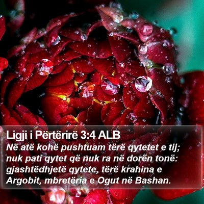 Ligji i Përtërirë 3:4 ALB Bible Verse Image