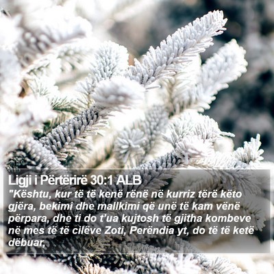 Ligji i Përtërirë 30:1 ALB Bible Verse Image