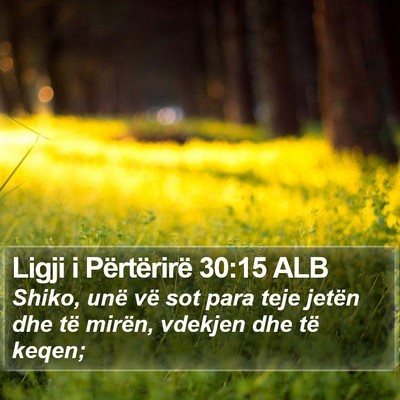 Ligji i Përtërirë 30:15 ALB Bible Verse Image