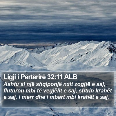 Ligji i Përtërirë 32:11 ALB Bible Verse Image