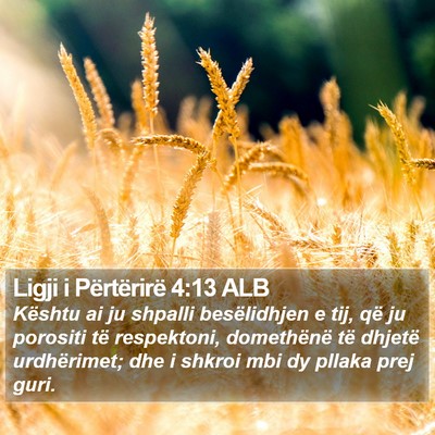 Ligji i Përtërirë 4:13 ALB Bible Verse Image