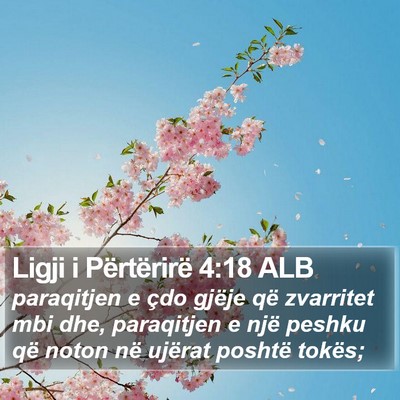 Ligji i Përtërirë 4:18 ALB Bible Verse Image