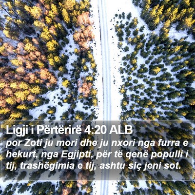 Ligji i Përtërirë 4:20 ALB Bible Verse Image