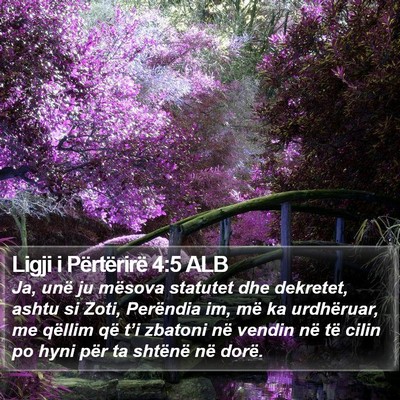 Ligji i Përtërirë 4:5 ALB Bible Verse Image