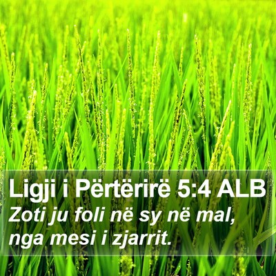 Ligji i Përtërirë 5:4 ALB Bible Verse Image