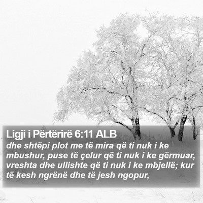 Ligji i Përtërirë 6:11 ALB Bible Verse Image