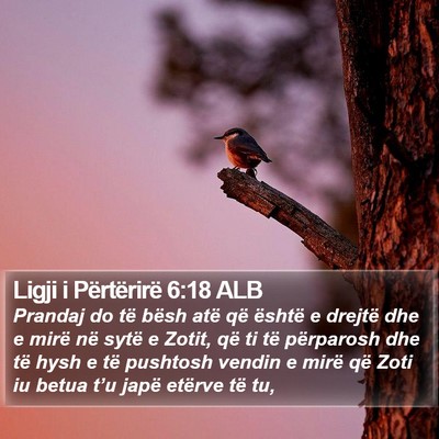 Ligji i Përtërirë 6:18 ALB Bible Verse Image
