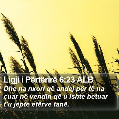 Ligji i Përtërirë 6:23 ALB Bible Verse Image