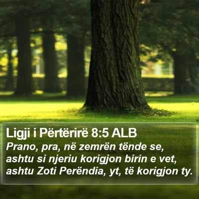 Ligji i Përtërirë 8:5 ALB Bible Verse Image