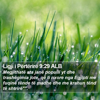 Ligji i Përtërirë 9:29 ALB Bible Verse Image