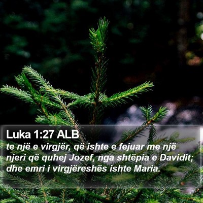 Luka 1:27 ALB Bible Verse Image