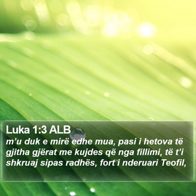 Luka 1:3 ALB Bible Verse Image